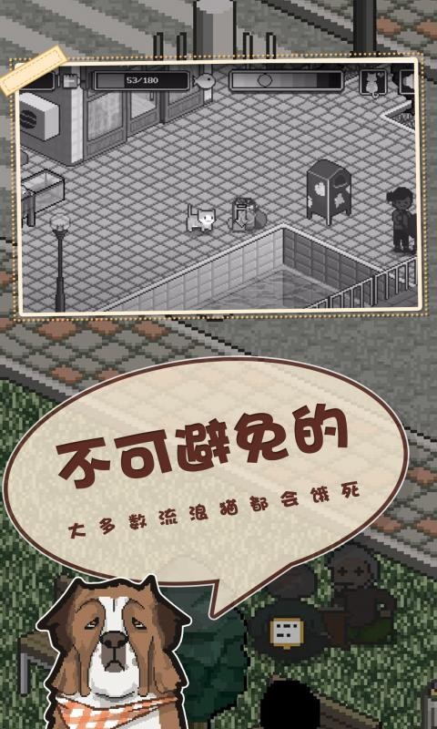 邦戈猫2