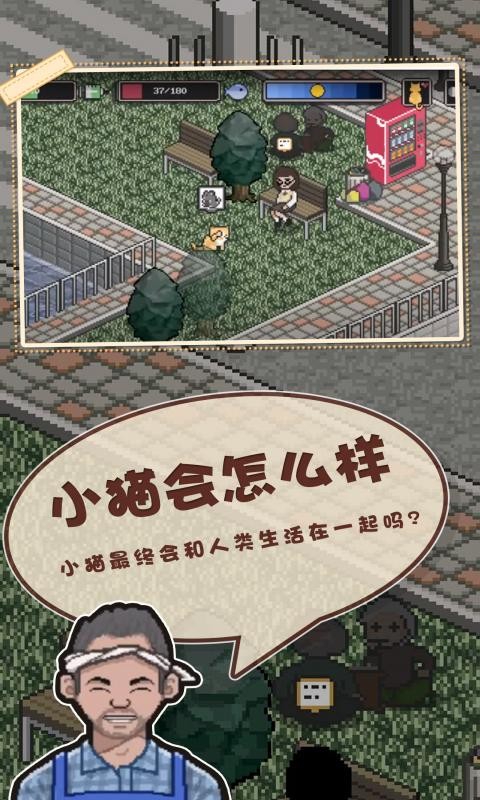 邦戈猫2