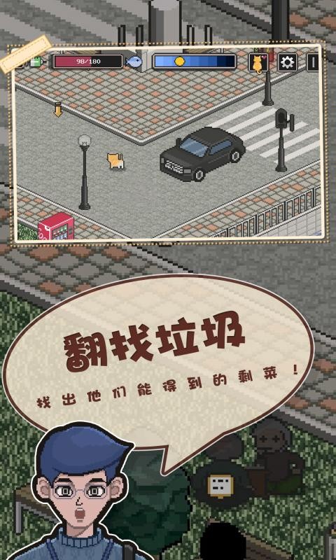 邦戈猫2