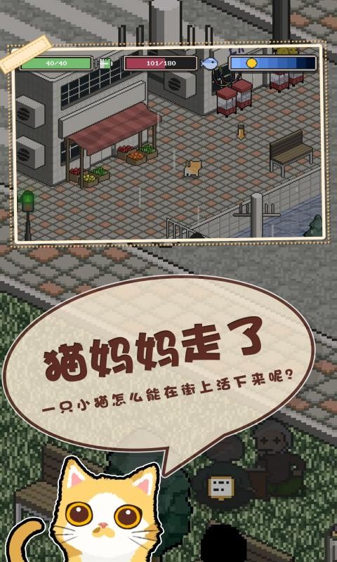 邦戈猫2