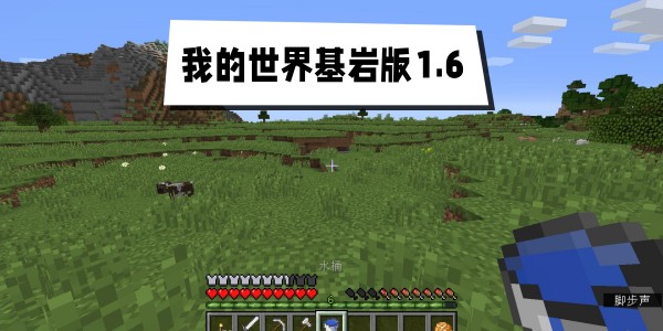 我的世界基岩版1.6