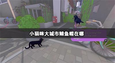 小猫咪大城市鲭鱼帽在哪