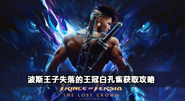 波斯王子失落的王冠白孔雀护符怎么获取