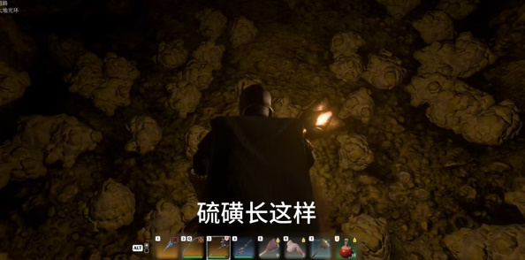 雾锁王国所有矿石位置汇总