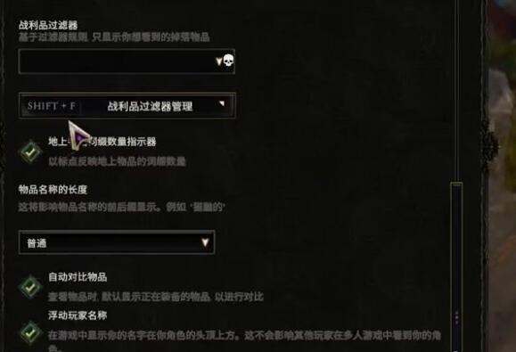 最后纪元术士过滤器怎么导入