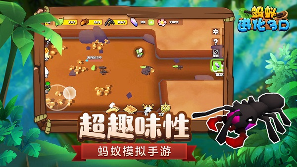 蚂蚁进化