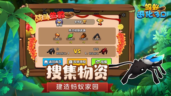蚂蚁进化