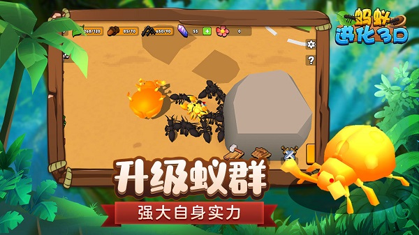 蚂蚁进化