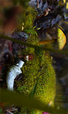 @(currentSoft.name)图@(i + 1)