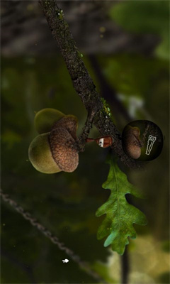 @(currentSoft.name)图@(i + 1)